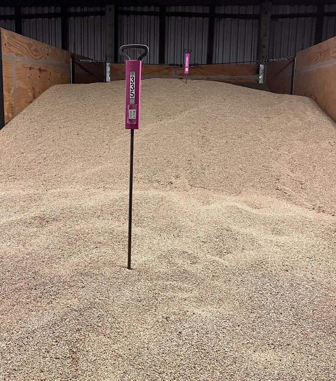 Digitale Temperaturmessung im Getreidelager | Lindenhof.bio