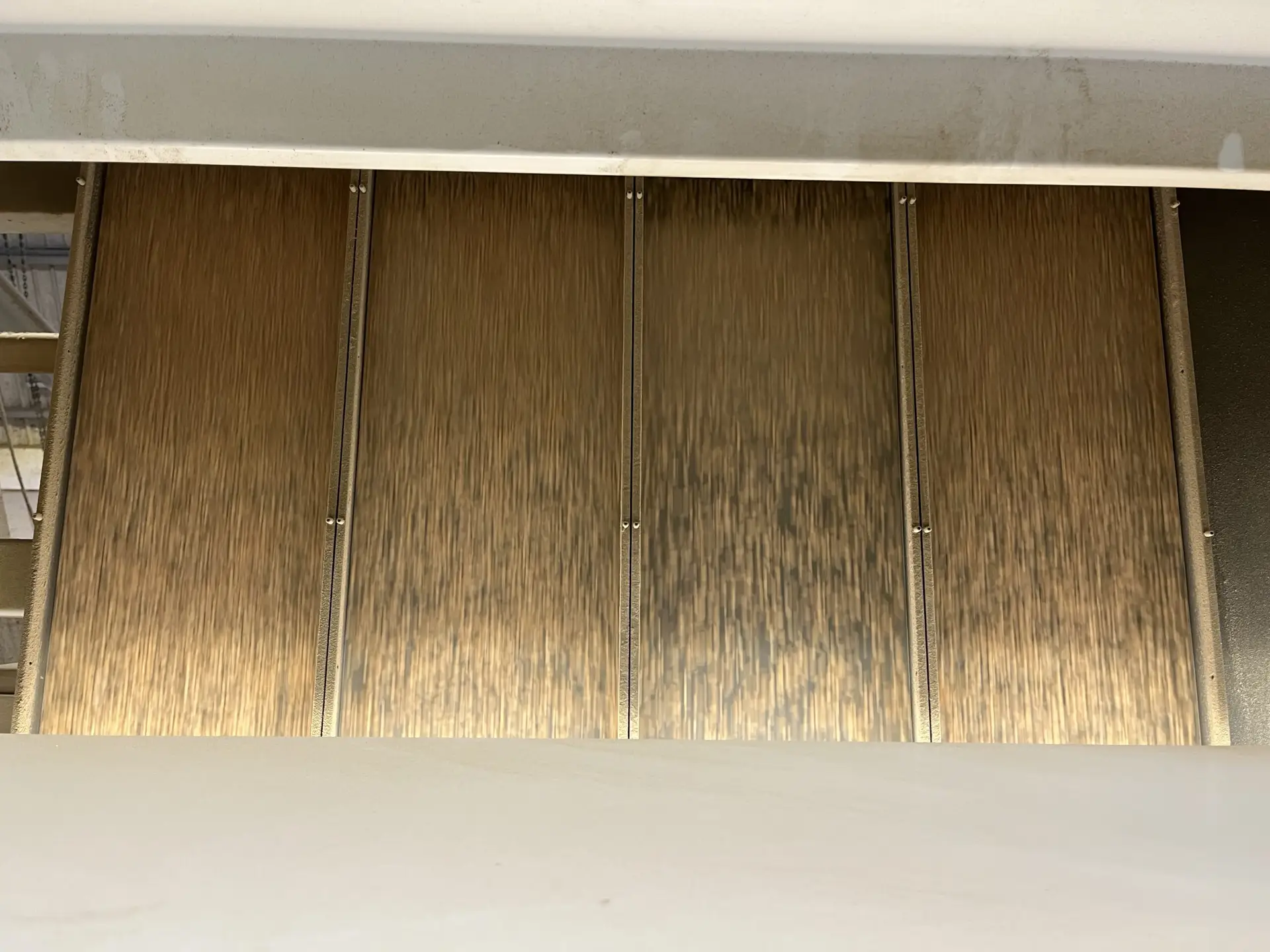 Getreide im Farbausleser